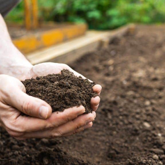 topsoil-hands